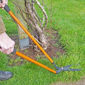Long handled angled garden shears top